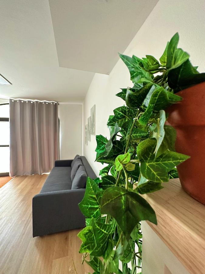 In Mezzo All'Aria Apartment Mezzolara Ngoại thất bức ảnh